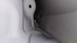 53244397715_ffb070850c_z.jpg