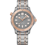 ial-master-chronometer-42-mm-21060422099001-10824d.png