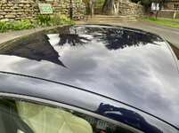 IMG-7218.jpg