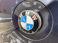 IMG-7287.jpg