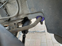 IMG-7447.jpg IMG-7447.jpg