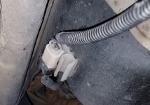 S0250mp.jpg