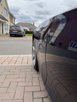 IMG-7387.jpg