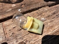 IMG_6815.jpeg
