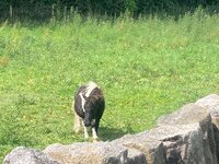 IMG_1988.jpg