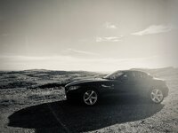 IMG_0825.jpg