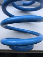 49214864806_55760d9301_k.jpg