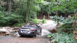 IMG-4933.jpg