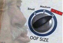 3zh43l.jpg
