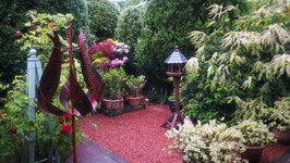 Garden.jpg
