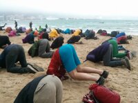 Wellington-heads-in-sand-close-up1.jpg Wellington-heads-in-sand-close-up1.jpg