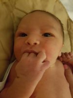 IMG-20170830-WA0000.jpg IMG-20170830-WA0000.jpg