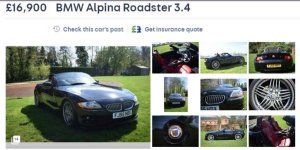 unknown alpina.JPG unknown alpina.JPG
