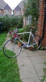 WP_20130824_001.jpg