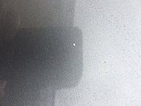 IMG_2380.JPG