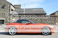 DSC_0108_zps1b54df06.jpg