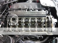 IMG_1717_zps17ce78b4.jpg