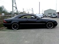 201345_10150205120299808_2563749_o.jpg