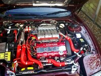 GTO1_zps53672a48.jpg
