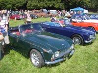 S6005517.jpg