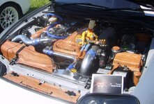 S6005522.jpg