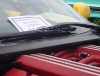S6005533.jpg