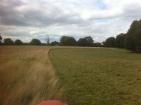 grass_zpse3dd54b8.jpg
