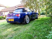 IMG_0010-3.jpg