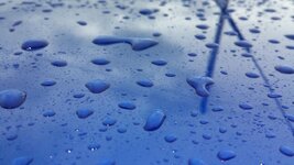 20140927_122111_zpse18c32ec.jpg