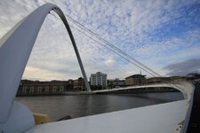 IMG_4906-Copy2.jpg