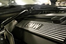 IMG_8933.jpg