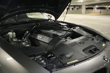 IMG_8932.jpg