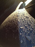 62c610df-ed18-43bf-8fb2-9b16c2e70d61.jpg