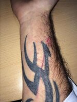 arm2_zps628ae578.jpg arm2_zps628ae578.jpg