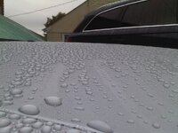 IMG01467-20140926-0907_zpsb87250b5.jpg