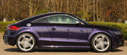 Purple4.jpg