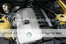 IMG_8439_zps6ae642bd.jpg