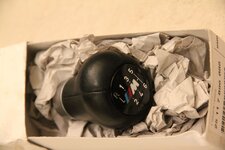IMG_3597.jpg