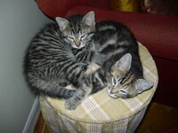 DSCN2176.jpg