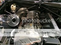 0095_zps830e1d36.jpg