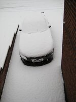 IMG_4367.jpg IMG_4367.jpg