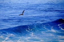 img_3383_crop_editauto_med.jpg