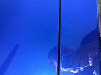 IMG_3505_zpsqrkqyjaa.jpg