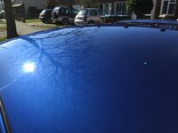 IMG_3508_zpsql9o0y2u.jpg