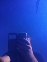 IMG_3520_zpshlghmgka.jpg