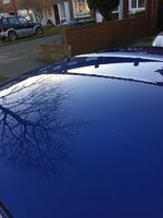 IMG_3528_zpsanglkf9p.jpg
