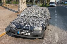 image.jpg1_zpsc5r6nr8k.jpg