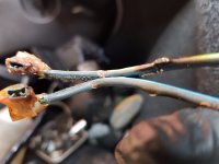 20170917_152356.jpg