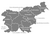50px-Statistical_regions_of_Slovenia.png