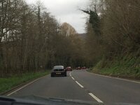 IMG_3379.jpg